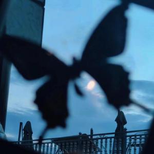 泳装美女被扒开👙吃奶
